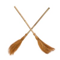 Мітла Відьми